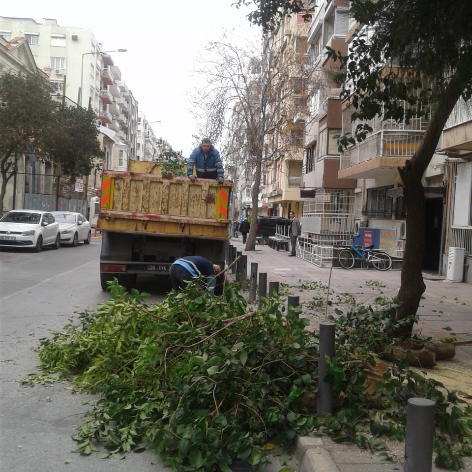 Büyükşehir'den İzmir’de fırtına raporu