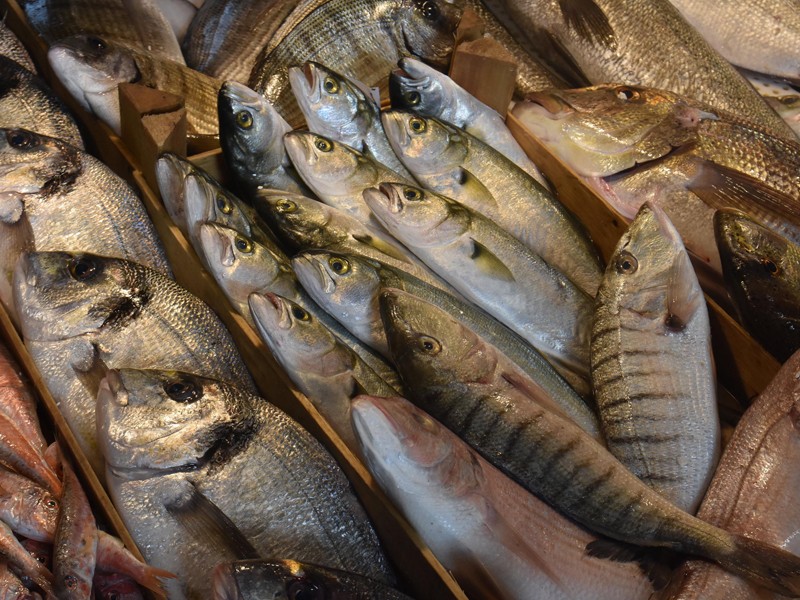 İzmir'de sağanak balığı da vurdu!