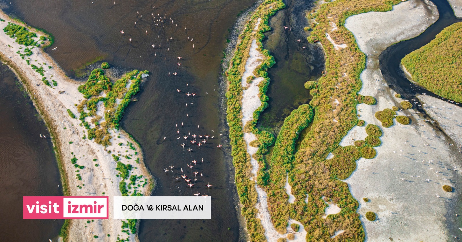 Visitİzmir Altın Örümcek Ödülü'ne layık görüldü