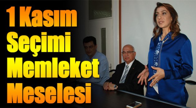 “1 Kasım Seçimi Memleket Meselesi”