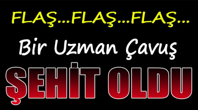 1 uzman çavuş şehit oldu