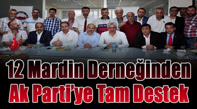 12 Mardin derneğinden Ak Parti'ye tam destek