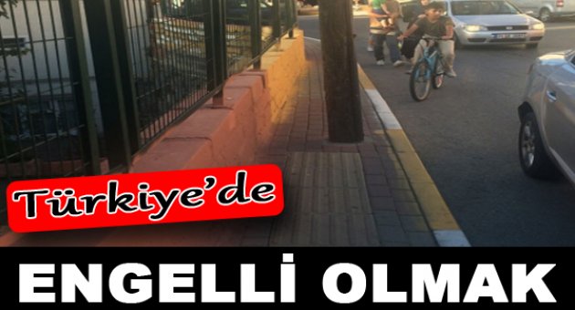 15 maddede 3 Aralık Dünya Engelliler Günü'nde Türkiye'nin hali