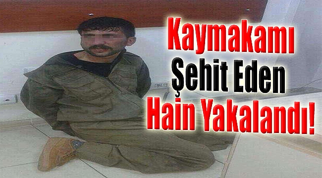 İşte Derik Kaymakamını Şehit Eden O Hain!