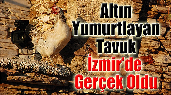 Tanesini 10 TL'den Sattı, Servet Kazandı