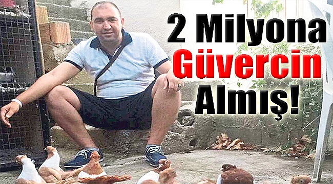 2 milyona güvercin almış!