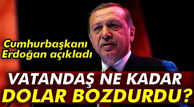 Cumhurbaşkanı Erdoğan açıkladı: Vatandaş ne kadar dolar bozdurdu?