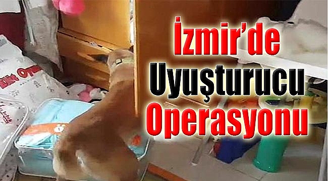 İzmir'de uyuşturucu operasyonu