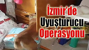 İzmir'de uyuşturucu operasyonu