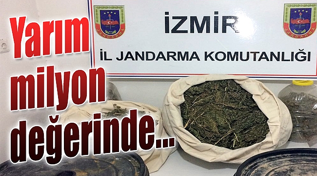 Jandarma yarım milyon değerinde uyuşturucu ele geçirdi