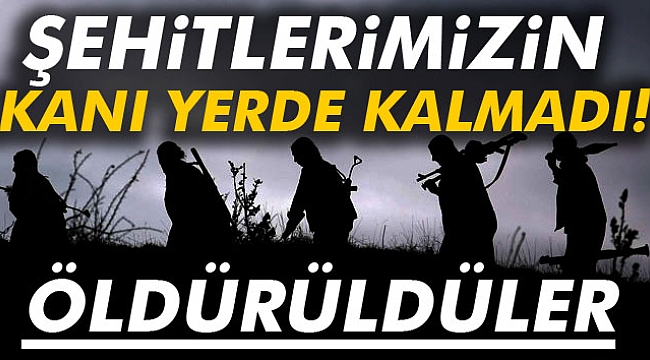 Şehitlerin Kanı Yerde Kalmadı!