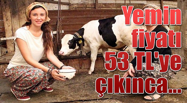 Yemin fiyatı 53 TL'ye çıktı, süt üreticisi...