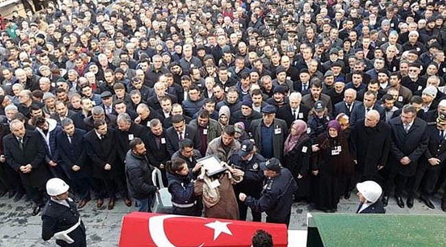 Yürek yakan kare: 'Nasıl kıydılar yavrum sana!'