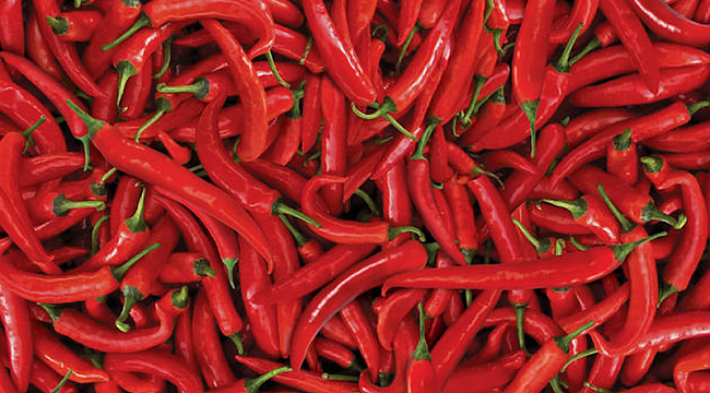 Acı biber ömrü uzatıyor