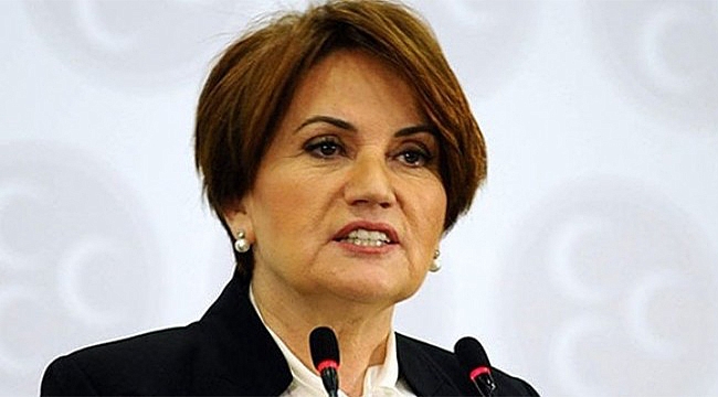 Akşener&#039;den &#039;dönüş&#039; hamlesi: AYM&#039;ye başvurdu