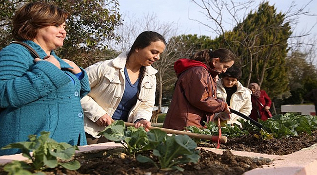 Buca&#039;nın engelsiz bahçelerinde hasat zamanı!