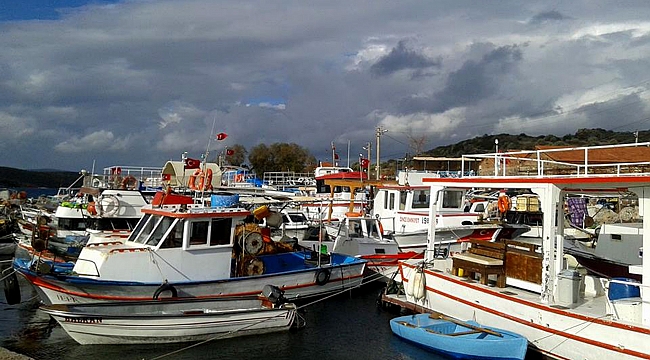 Çeşme&#039;deki balıkçılar barınaklarına çözüm istiyor