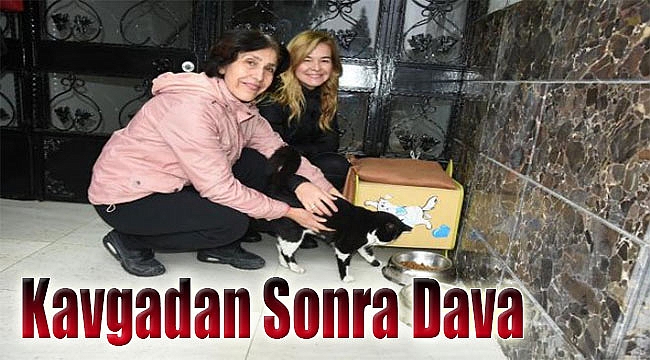 İzmir’de yine &#039;kedilere mama&#039; krizi: Kavgadan sonra dava!