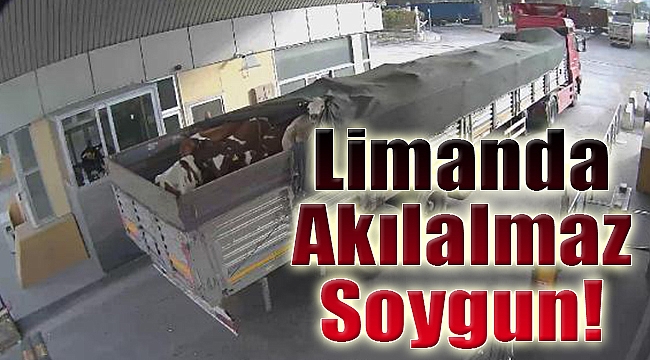 İzmir Limanı&#039;ndan akılalmaz soygun!