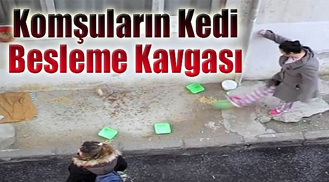Komşular arasında kedi besleme kavgası