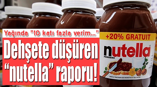 Nutella raporu korkuttu