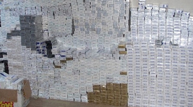 330 bin paket gümrük kaçağı sigara ele geçirildi