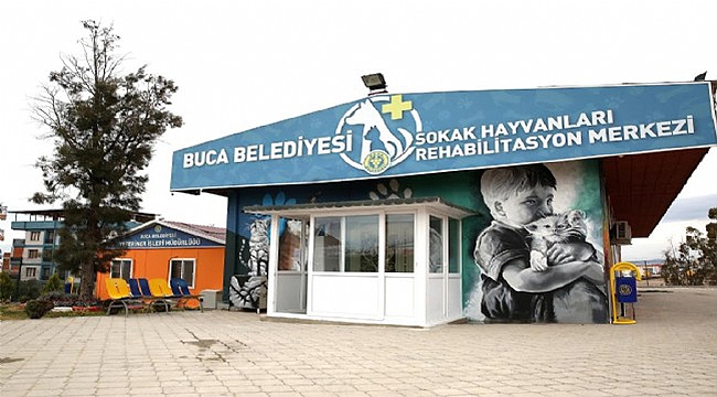 Buca Belediyesi 600 can dostuna kucak açtı