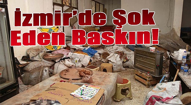 İzmir&#039;de şok eden baskın: Fare yavruları cirit atıyor!