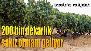 İzmir'e müjde! 200 bin dekarlık orman geliyor...