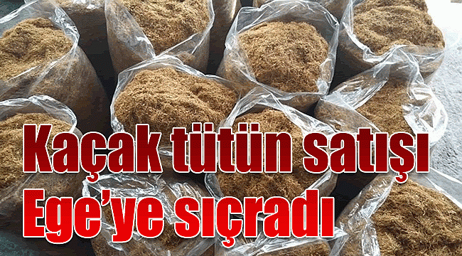 Kaçak tütün satışı Ege’ye sıçradı