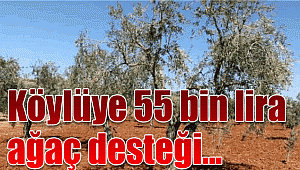 Köylüye 55 bin lira ağaç desteği verilecek!
