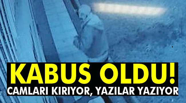 Mahallelinin korkulu rüyası oldu