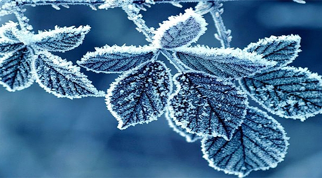 Meteorolojiden fırtına ve zirai don uyarısı