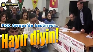 Örgüt Avrupa'da 'Hayır İçin' bastırıyor