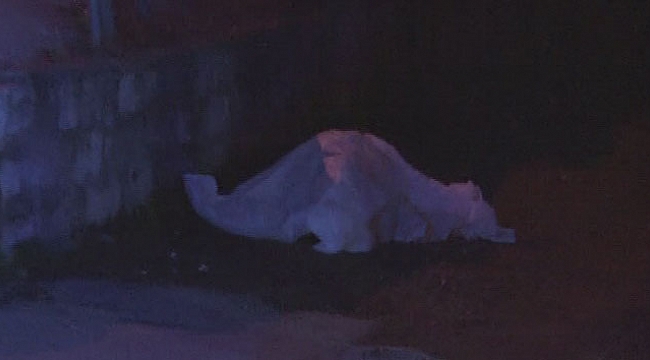 Başkent&#039;te, eğlence kanlı bitti