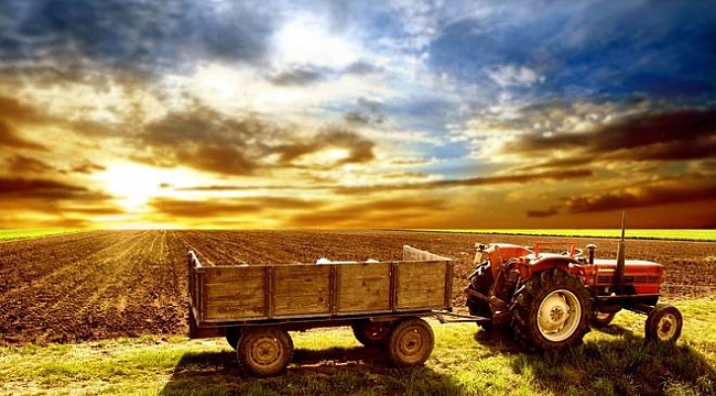 Ege, Türkiye&#039;yi doyuracak