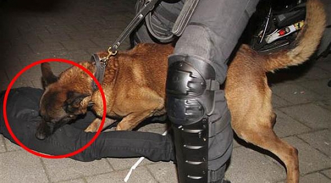 Hollanda&#039;da skandal görüntü!