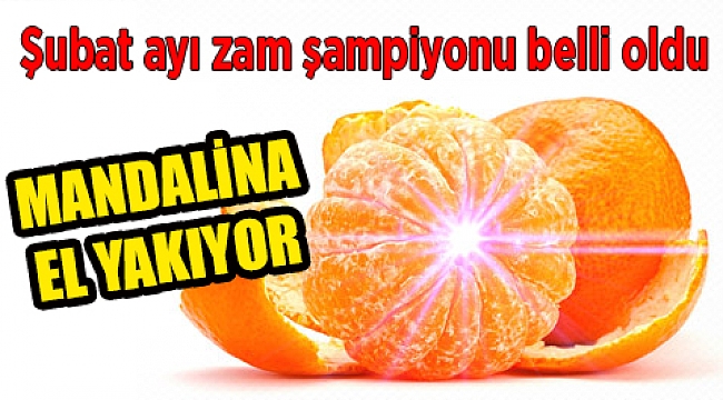 İzmir&#039;de zam şampiyonu mandalina
