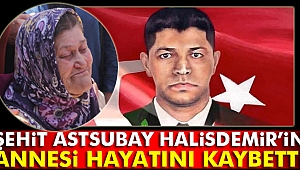 Şehit Astsubay Ömer Halisdemir’in annesi hayatını kaybetti