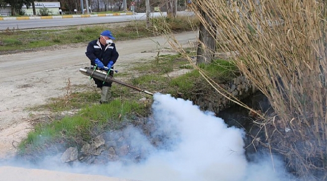 Selçuk’ta sivrisinekle mücadele yıl boyu sürüyor!