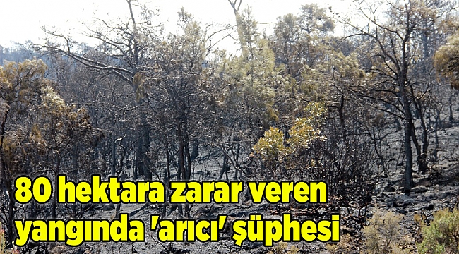 80 hektara zarar veren yangında &#039;arıcı&#039; şüphesi