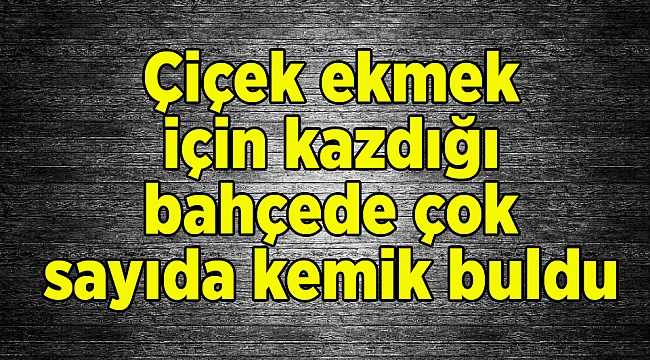Çiçek ekmek için kazdığı bahçede çok sayıda kemik buldu