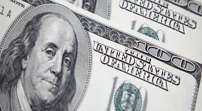 Dolar son bir ayın en düşüğünü gördü
