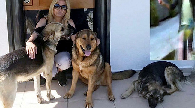 Hayvanseverleri Ayağa Kaldıran Olay