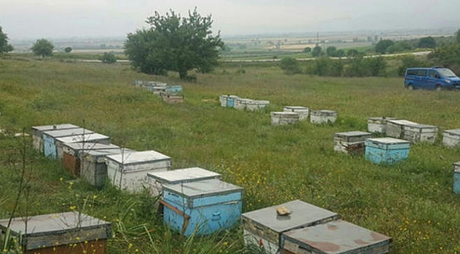 Hırsızlar Soğuk Havayı Fırsat Bildi