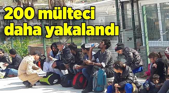İzmir'de 200 mülteci yakalandı