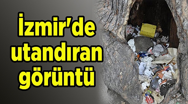 İzmir'de utandıran görüntü