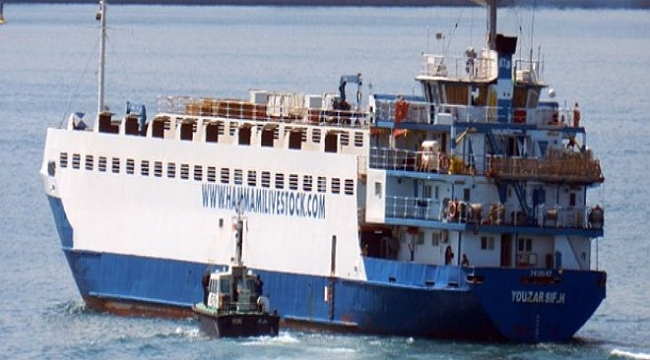 Karadeniz'de Rus gemisi ile kargo gemisi çarpıştı