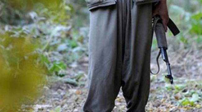 PKK'nın sözde Sincar sorumlusu, oğlu ve kardeşiyle birlikte öldürüldü