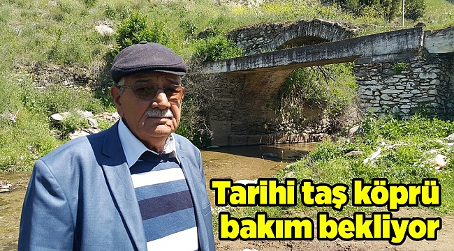 Tarihi taş köprü bakım bekliyor